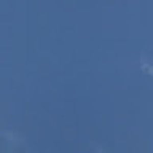 Meet your Posher, Daisy